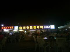 -盐禾堂海南屯昌香草鸭(总店)