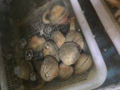 -遇西祠·海鲜烧烤(总店)