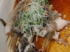 清蒸石斑鱼-酌宴府The China Club·广州万富希尔顿酒店(云城东路店)