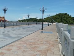 -野狸岛