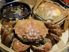 -赤甲皇(仙霞路店)