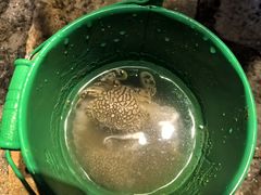 -嵊泗基湖沙滩