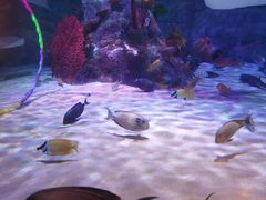 -沈阳海洋探索中心