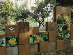 -成都市活水公园