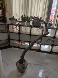 -江油茗汇整形医院