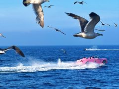 -大连海昌东方水城