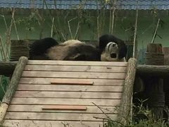 景点-南昌动物园