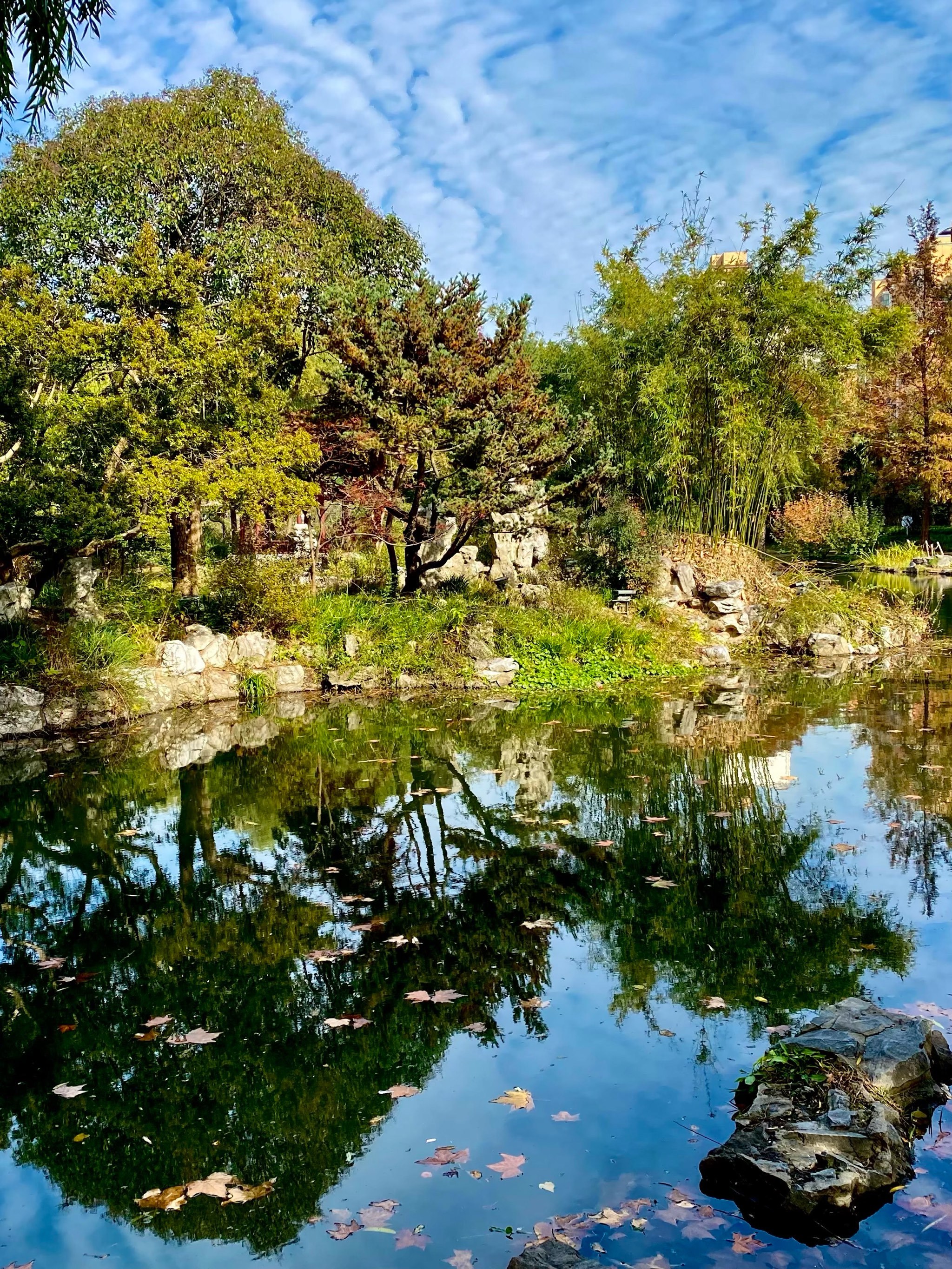 城市公园图鉴