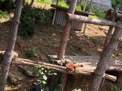 -大连森林动物园