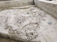 -金沙遗址博物馆