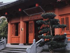 -上海东林寺(金山区)