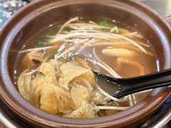 -大中鱼翅 Taitong Shark Fin