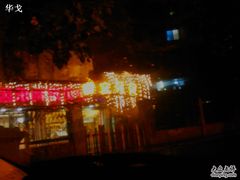 -贝贝宠物乐园(常青花园店)