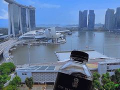 -新加坡丽思卡尔顿美年酒店