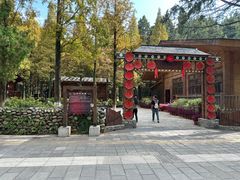 -云南民族村