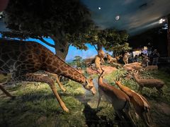 -国家自然博物馆