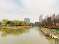 -南翔镇银翔湖公园