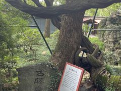 -绮园景区