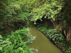 -同里国家湿地公园