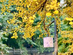 -四川省人民医院(本部)