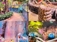 -正佳雨林生态植物园