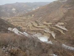-富平县金粟山森林公园