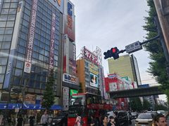 -秋叶原电器街