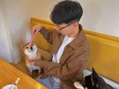 -柴の食堂·日式家庭料理·熊之肆(大学路店)