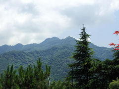 -沣峪口