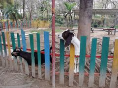 -广东花都香草世界旅游度假区