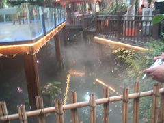 -二荆条·蜀鲜汇城市森林火锅