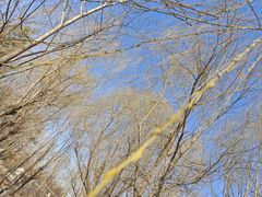 -长春公园(普阳街道)