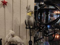 -LE MISSMORE餐酒吧(茉念西里店)
