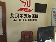 -艾贝尔宠物医院 ·内科全科(梁溪路店)