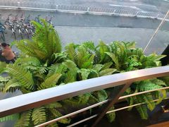 -麦当劳(展览路店)