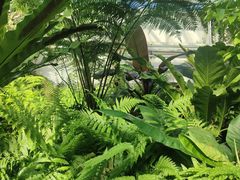 -国家植物园南园