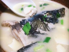 千岛湖鱼头-陈记菜馆·非遗淮扬菜(东关街教场店)