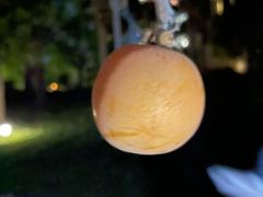 -昆明华邑酒店