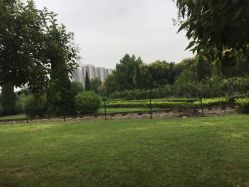 -郑州市世纪公园