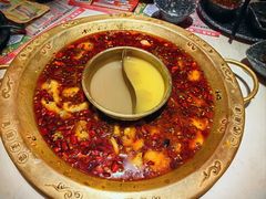 -哥老官重庆美蛙鱼头(五角场合生汇店)