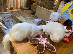 -小时光咖啡馆(开森度假森林店)