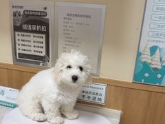 -瑞派宠物医院·24h·骨外科·皮肤科·全科宠物医疗转诊中心(沈阳浑南院)