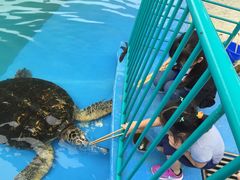 -北戴河圣蓝海洋公园