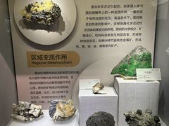 -湖南省地质博物馆