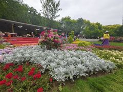 -大望京公园