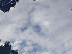 -荔湾湖公园
