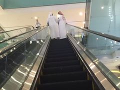 -迪拜水族馆及水下动物园