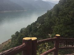 -羚羊峡古栈道森林公园