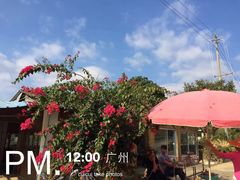 -广州市石门国家森林公园