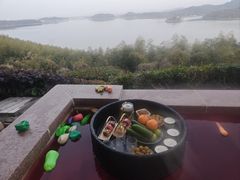 -天目湖涵田半山温泉